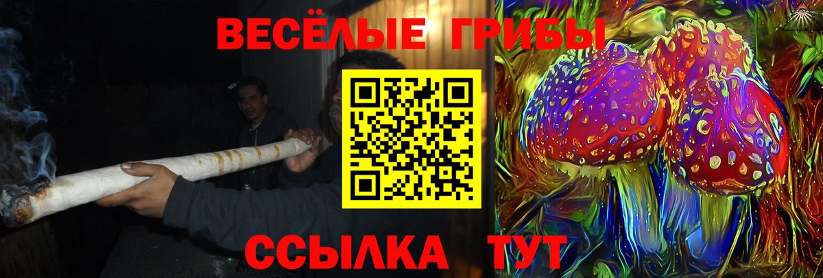 Семёнов  Галлюциногенные грибы мухоморы  Псилоцибиновые грибы Psilocybine cubensis  Вход с VPN 
